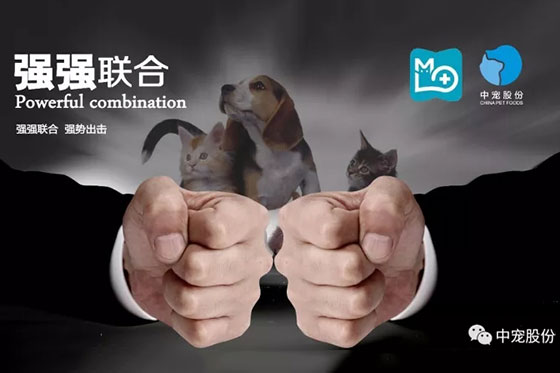 asiagame(中国区)官方网站